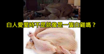 白人愛愛不就是像一隻雞