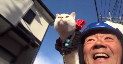 老人和貓咪相依為命