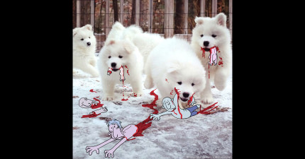 把陌生人的照片亂惡搞2